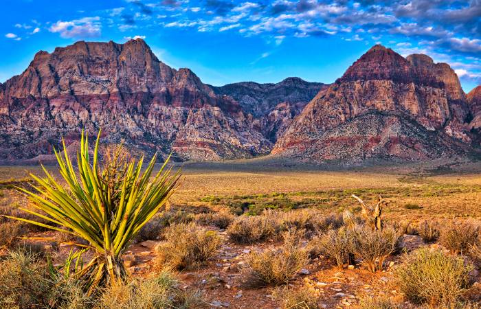 a photo of red rock